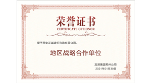 龍湖集團(tuán)-地區(qū)戰(zhàn)略合作單位