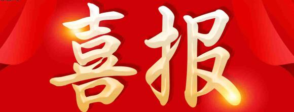 喜報(bào) | 正誠咨詢集團(tuán)喜獲金地集團(tuán)“最佳配合精英獎(jiǎng)”