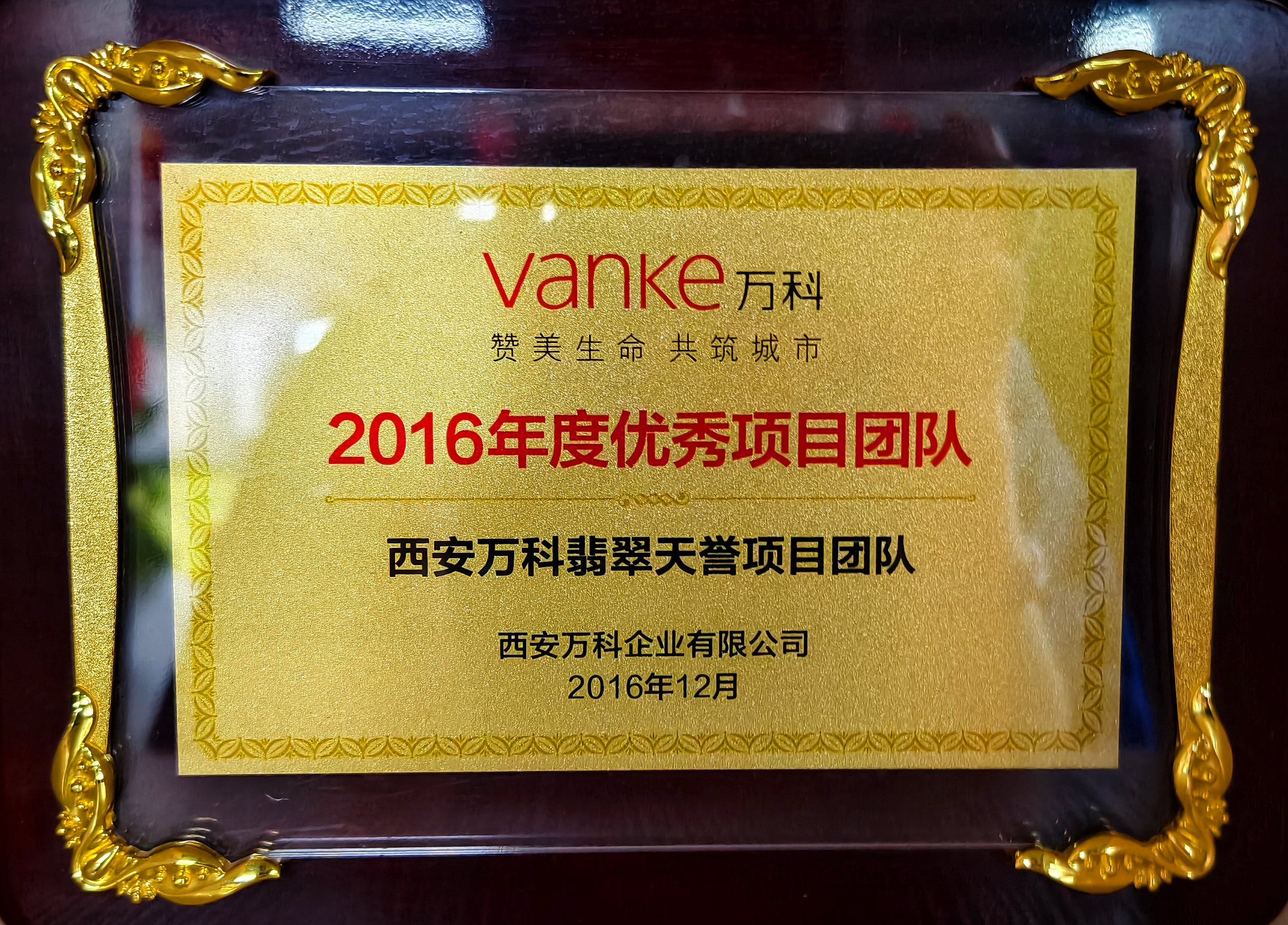 萬科-2016年度優(yōu)秀項(xiàng)目團(tuán)隊(duì)