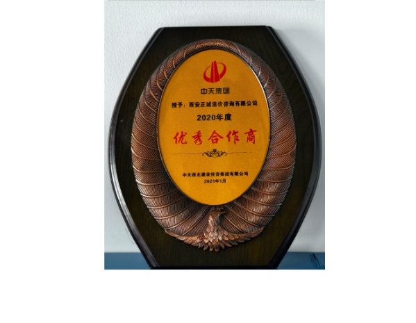 中天集團(tuán)-2020年度優(yōu)秀合作商